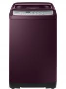 Samsung 6.5 kg Top Load Washing Machine (WA65M4500HP) 
